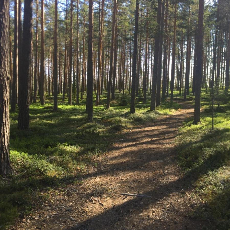 Stf Jaedraas Herrgard Bagian luar foto